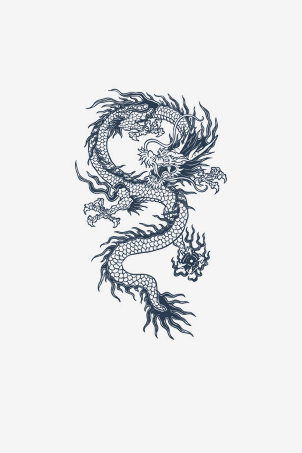 Dragon légendaire