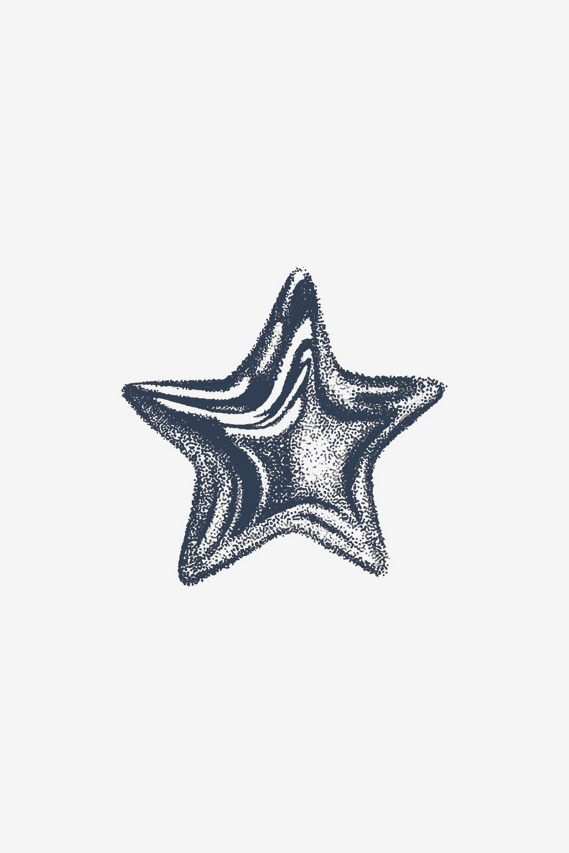 Étoile de la mer