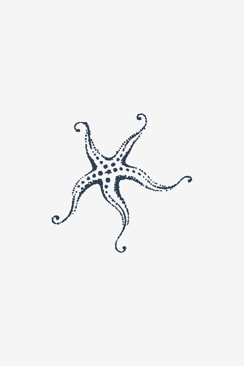 Étoile de mer 2