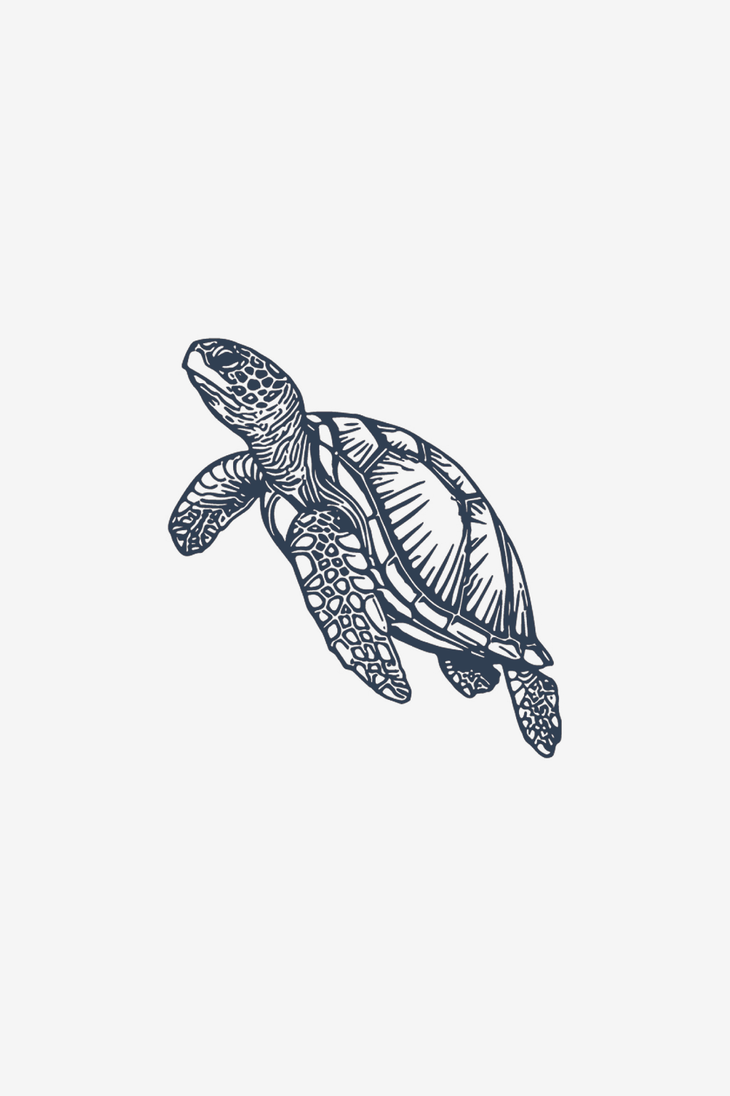 La tortue