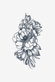 Pivoine