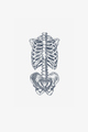 Anatomie