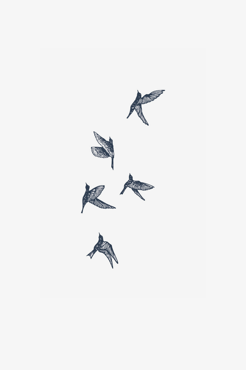 Oiseaux