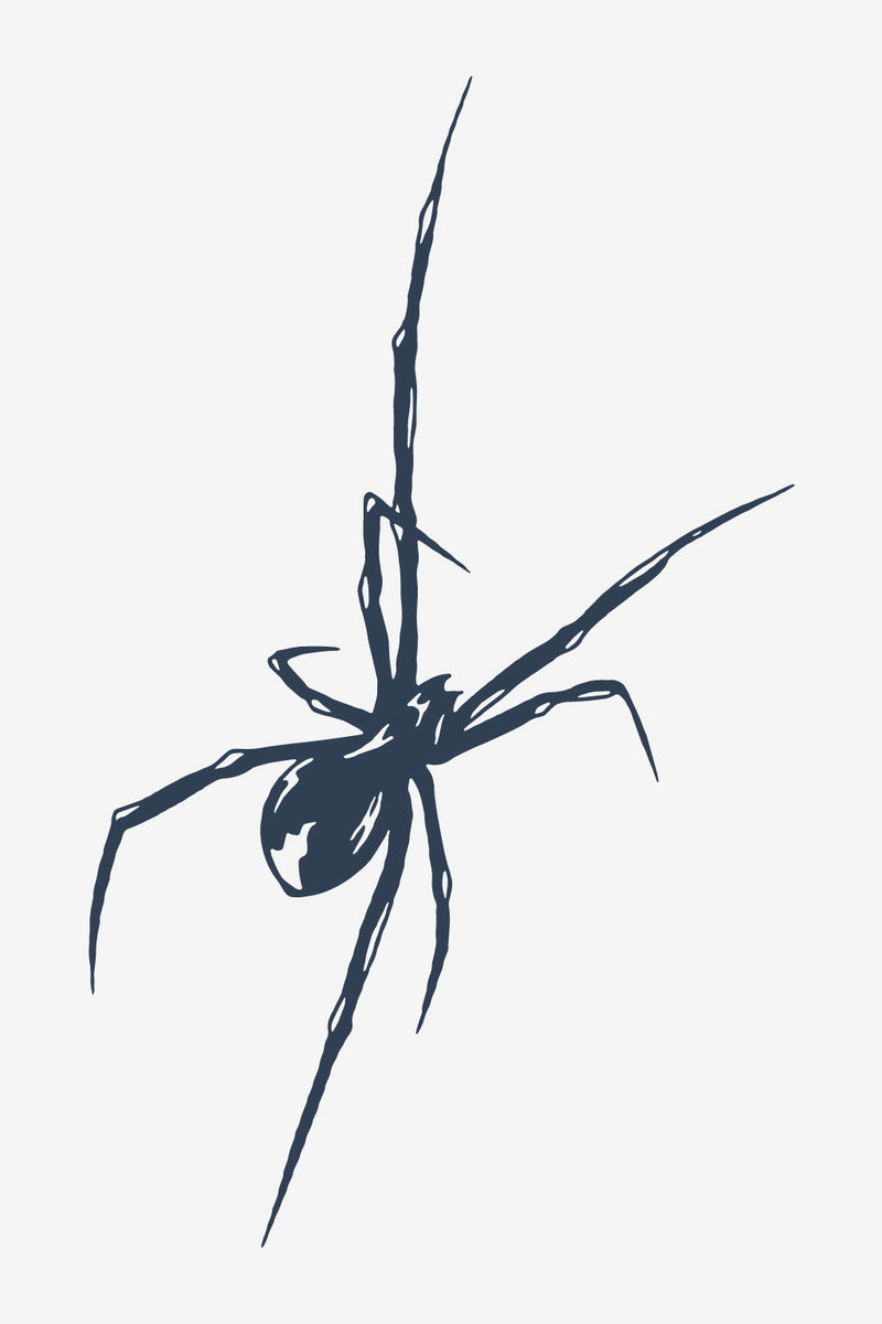 Arachné