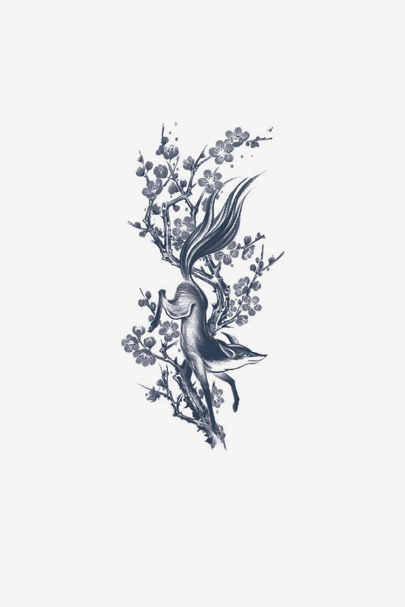 Renard