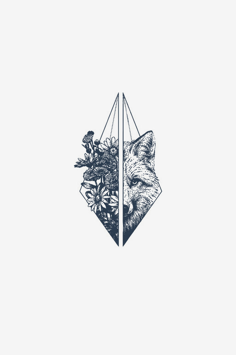 Renard