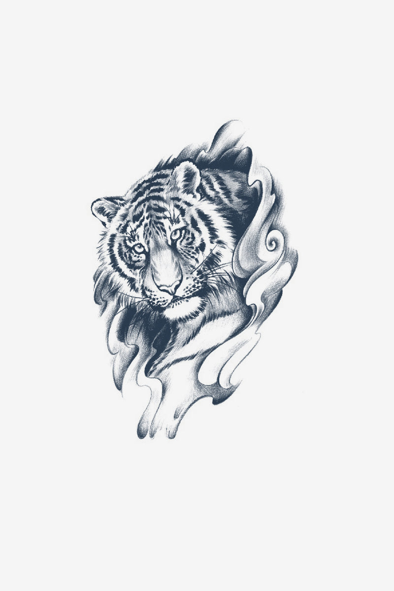 Tigre