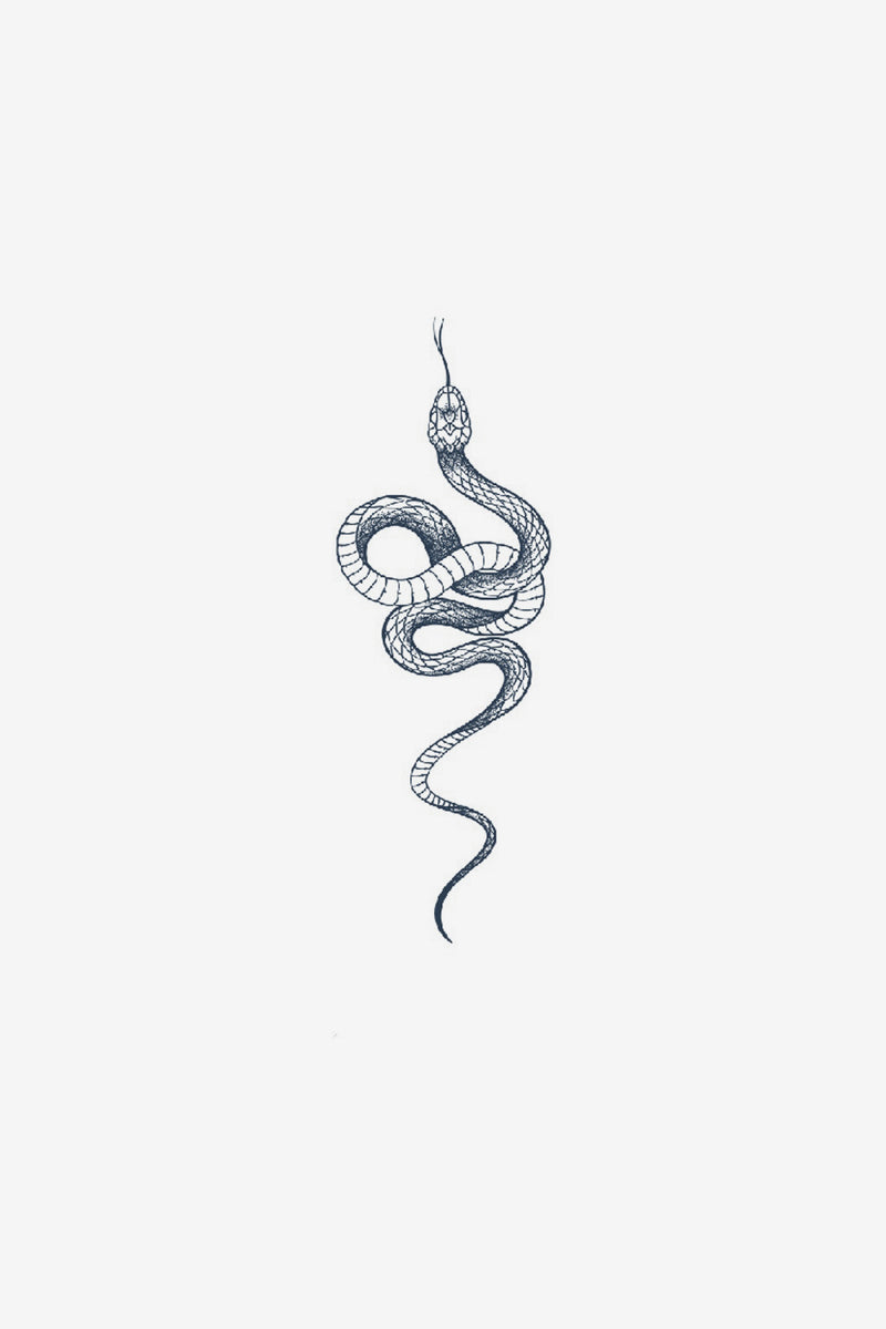Serpent gracieux