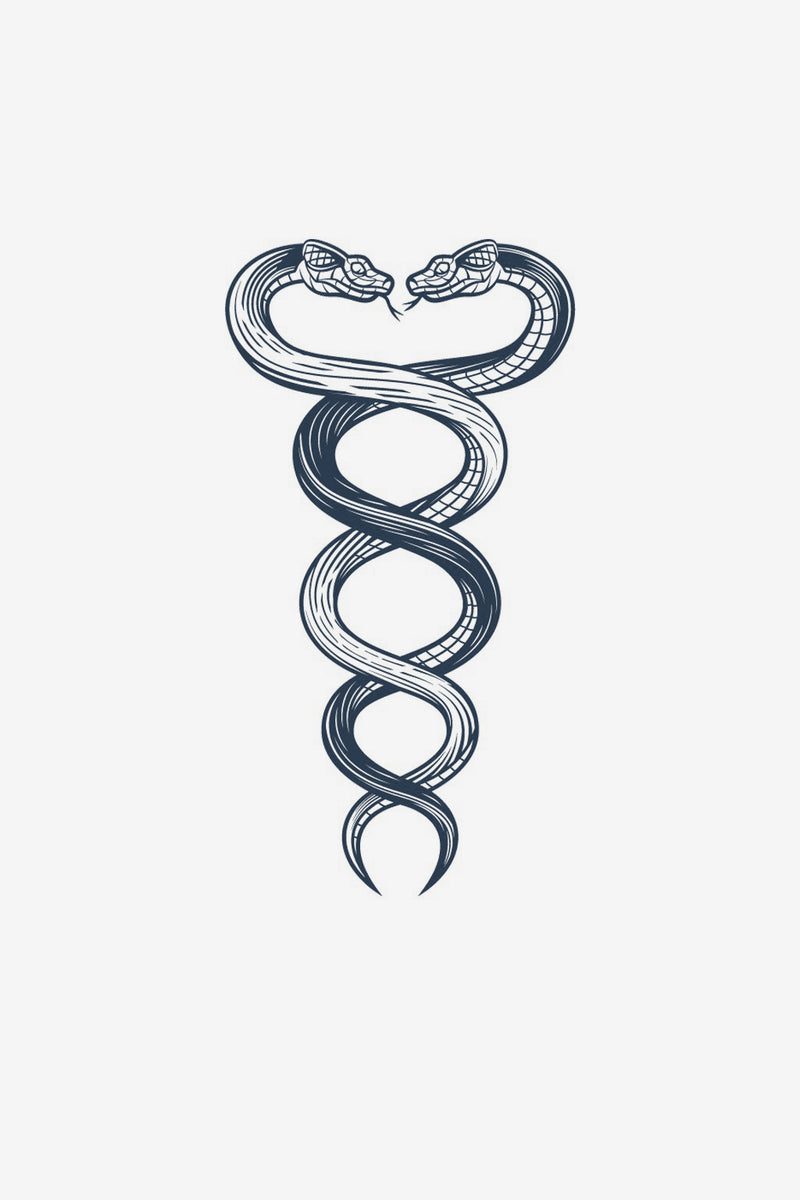 Torsion