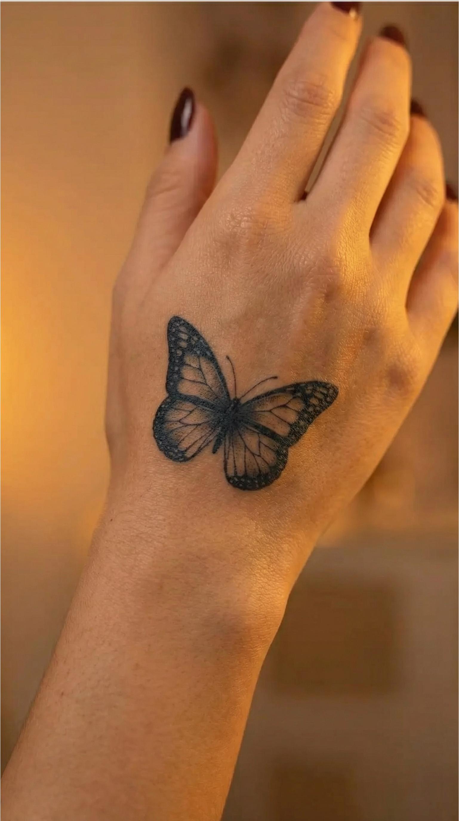 Papillon